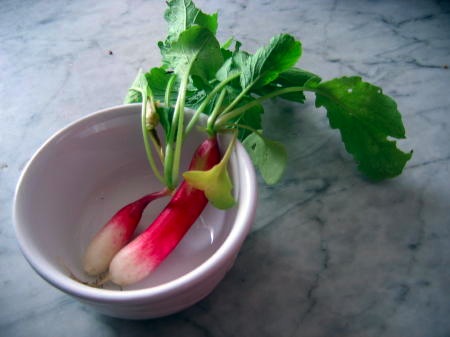 radishes mareno