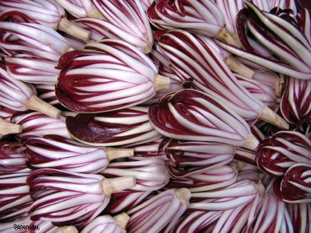 radicchio